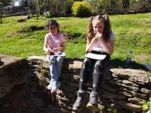 IMG-20250429-WA0003