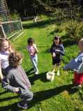 IMG-20250429-WA0008