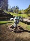 IMG-20250429-WA0016