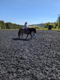 IMG-20250519-WA0005
