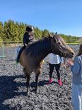 IMG-20250519-WA0010