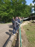 IMG_20250527_095228