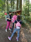 IMG_20250613_091426