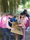 IMG_20250613_092511
