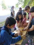 IMG_20250613_092546
