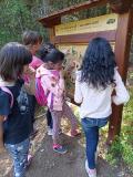 IMG_20250613_103721