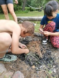 IMG_20240620_163035