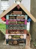 IMG-20250517-WA0024