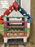 IMG-20250517-WA0027
