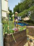 IMG-20250517-WA0057