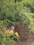 IMG-20250517-WA0060