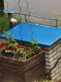 IMG-20250517-WA0081