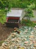 IMG-20250517-WA0090