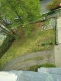 IMG-20250517-WA0097