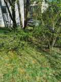 IMG-20250517-WA0105