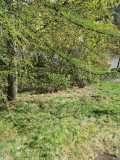 IMG-20250517-WA0106