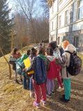 IMG_20250328_075818