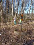 IMG_20250328_082815