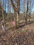 IMG_20250328_082822