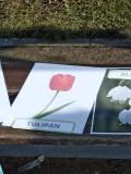 IMG_20250328_092627