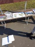 IMG_20250328_095903