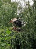 IMG_20240522_140909